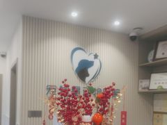 -宠物星动物医院·眼科·异宠·猫科(江南大道总院)