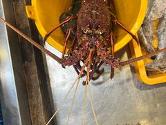 -大茄来海鲜餐厅(亚洲城分行)