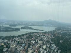 -紫峰大厦