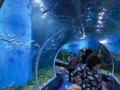 -顺德南宏海立方海洋公园