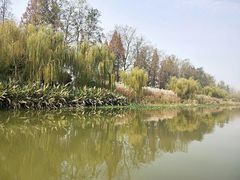 -洋湖国家湿地公园