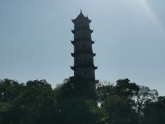 -江心屿景区