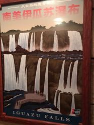 -翱翔飞越地平线