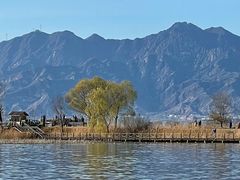 -野鸭湖国家湿地公园