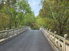 -同里国家湿地公园