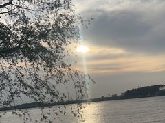 -丁香湖公园