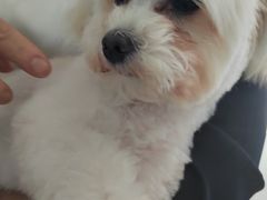 -佳雯宠物医院·皮肤科·内外科(春晓路分院)