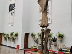 -自贡恐龙博物馆