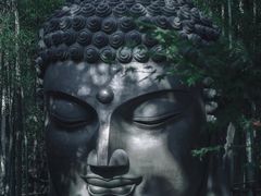 -杭州植物园