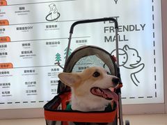 -深圳龙华星河COCO City(民治店)
