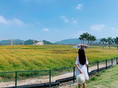 -光明小镇欢乐田园