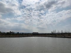 -漩门湾国家湿地公园