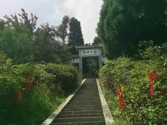 -江西阳明山国家森林公园