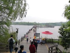 -溱湖国家湿地公园