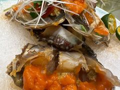 -皇朝海鲜酒店