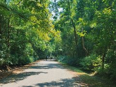 -上海海湾国家森林公园