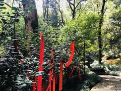 -梦姑塘文化公园
