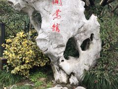 -闻莺馆(柳浪闻莺店)