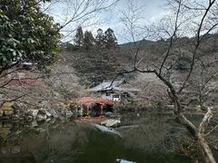 -醍醐寺