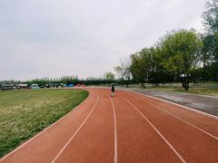 -潇河湿地公园