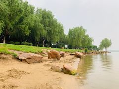 -丁香湖公园
