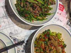 -壹盏灯(惠农店)