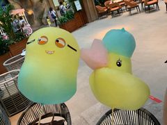 -杭州开元森泊度假乐园