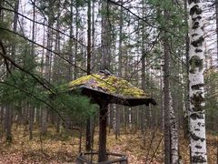 -峡谷浮石林景区