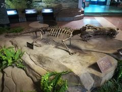 -自贡恐龙博物馆