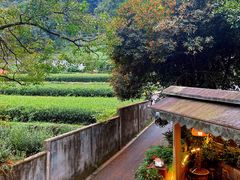 -随意茶庄·地道杭帮农家菜(梅家坞店)