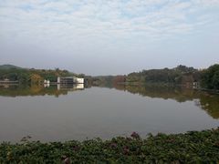 -畔山酒店中餐厅