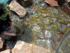 -黄河小浪底水利枢纽风景区