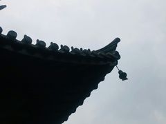 -常熟方塔园