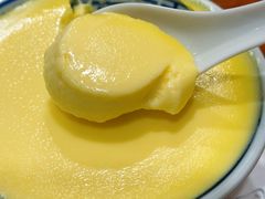 炖蛋-正德顺順德雙皮奶(中信店)