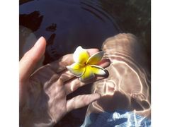 -金穗园温泉酒店