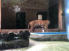 -柳州市动物园
