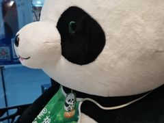 -眉州东坡(华联万柳店)