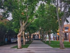 -山东省青岛第二中学(江西路分校)