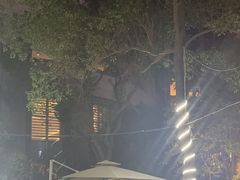 -元一希尔顿酒店·禅自助餐厅·啤酒花园