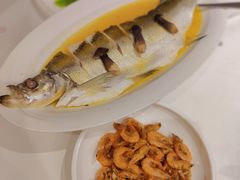 鸡汁蒸大白鱼-万龙洲海鲜(阜外店)