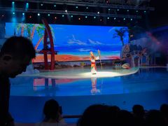 -三亚海昌梦幻海洋不夜城