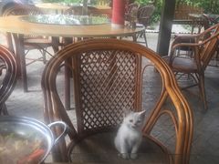 -秋香鱼馆(世凹桃园店)