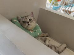 -怪兽屋·羊驼·猫咖·狗咖(俊华广场店)