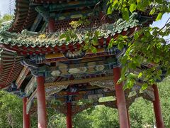 -北陵公园