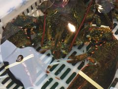 -盒马鲜生(宝地店)