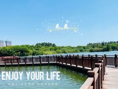 -五缘湾湿地公园