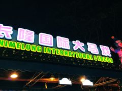 -广州长隆国际大马戏
