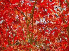 -溪口-滕头旅游景区