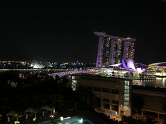 -新加坡文华东方酒店