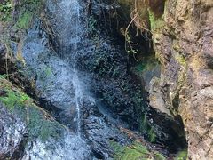 -大余丫山旅游度假区